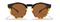 Crowley, Black Tortoise